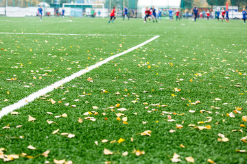Obraz na płótnie Canvas Green synthetic artificial turf grass soccer sports field with white stripe line. Football field with autumn leaves for trainings, tournaments.