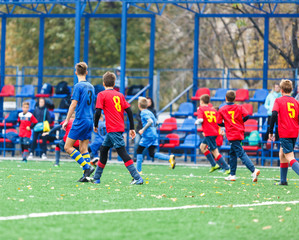 Children are kicking soccer classic white and black ball. Young kids football action. Boys are running after the Ball on green artificial grass. Footballers in blue and red shirts