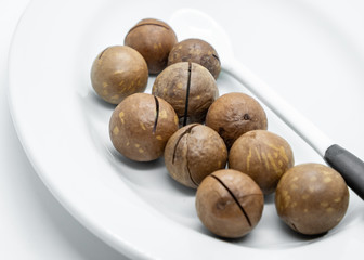 Macadamia nuts with hard shell on white isolated