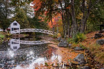 Autumn in Acadia National Park