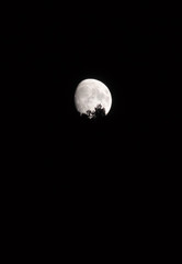 Fototapeta na wymiar Moonrise over Lewis Peak, near North Ogden, Utah