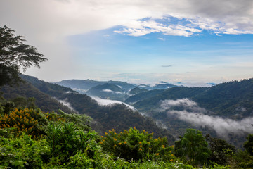 View of tropical forest, Khao Yai National Park, Thailand