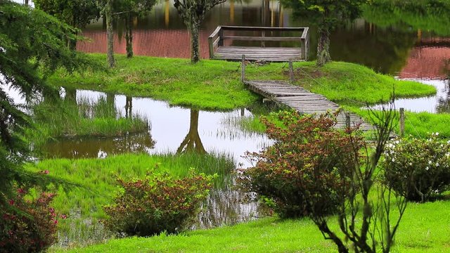 Jardim e lago