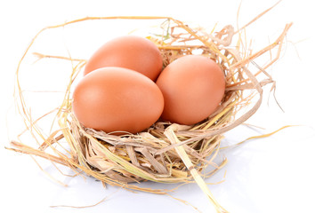 eggs isolated on white background
