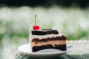 Delicious chocolate cake on white plate in the garden. Blur garden background