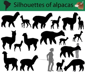 Fotobehang Collection of silhouettes of alpacas © Viktoria