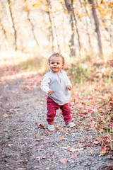 Outdoor Portrait of a beautiful smiling mixed race little boy walking on a trail. Perfectly adorable child with a very cute expression on his face as he learns to walk