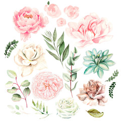 Watercolor set with flowers of succulents, roses, peony and leaves. © knopazyzy