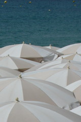 umbrella on the beach