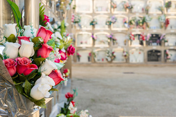 Flowers in a cemetery