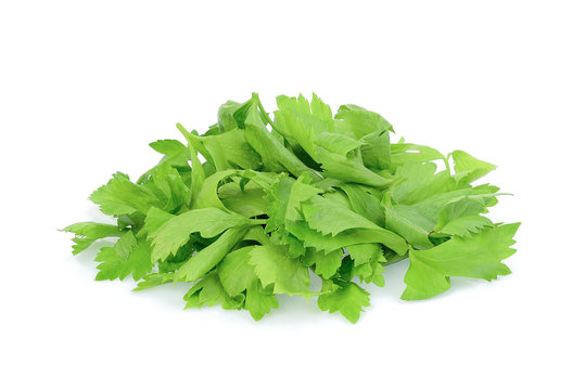 pile of coriander leaves isolated on white background