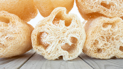 shower equipment made from fiber of zucchini on white background