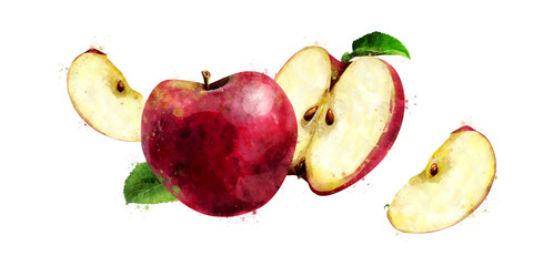 Red Apple on white background. Watercolor illustration