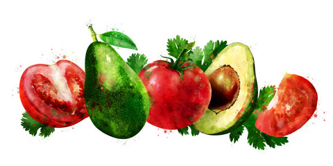Avocado and tomato on white background. Watercolor illustration