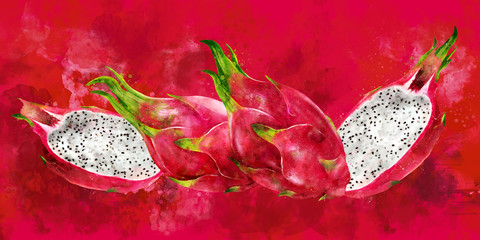 Fototapeta premium Dragon Fruit on red background. Watercolor illustration