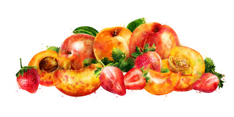 Fototapeta na wymiar Apricot, peach and strawberry on white background. Watercolor illustration
