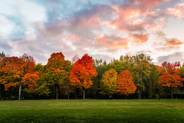 Naklejka premium Autumn Colors