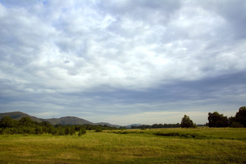 Fototapeta premium Nature