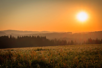 Nice orange sunset on hills with flower on meadow, Czech landscape