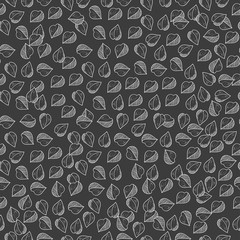 Buckwheat. Grain, seed. Background, wallpaper, seamless. Sketch.White image on a black background.
