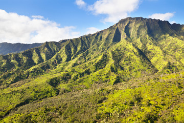 Kauai Tropical Rain Forest, USA