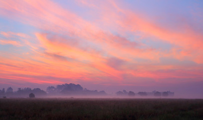 Beautiful sky in the morning