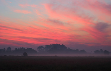 Beautiful sky in the morning