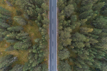 Forest empty road