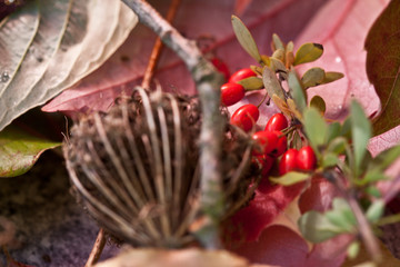 Herbstdeko