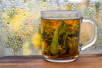 A cup of mint tea before autumn raindrop window. Yellow trees on the background. Closeup, selective focus