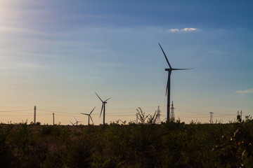 Group of windmills for renewable electric energy production. Sunset