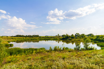 Obraz na płótnie Canvas Small pond with green plants and clouds on the blue sky