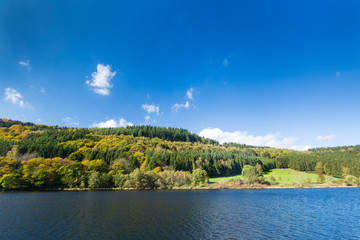 Lake Rursee in Autumn, Germany, Eifel