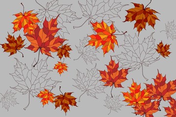 Fototapeta na wymiar Vector background with beautiful maple leaves.
