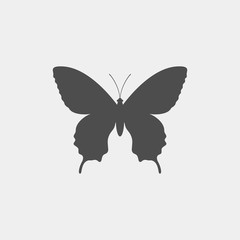 Butterfly vector silhouette. Insect vector silhouette