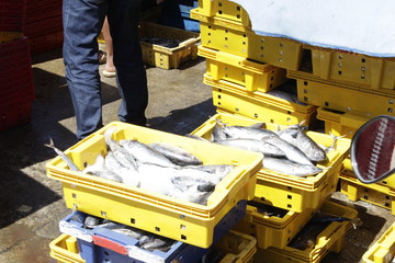 ベトナムのクイニョンにある港市場