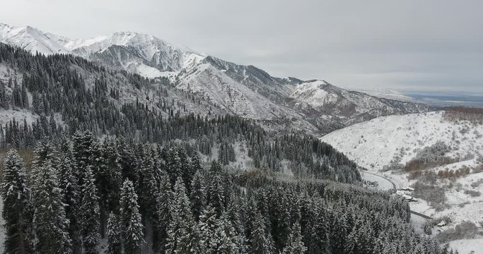 Winter snowy white mountains. Fir, pine, nature, trees. Aerial view, drone flight. 