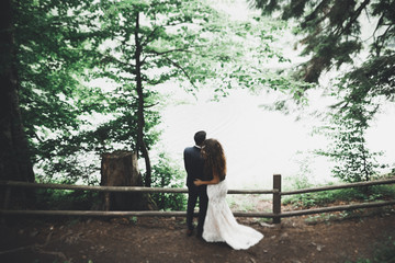 Newly married couple running and jumping in park while holding hands
