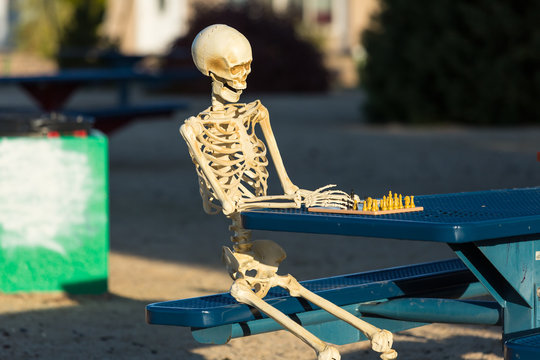 Skeleton making his move in chess