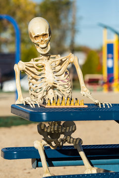 Skeleton playing chess in a park