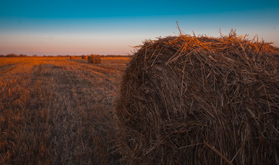Magnificent field after haymaking with hay collected in the rays of sunset