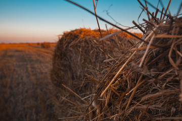 Magnificent field after haymaking with hay collected in the rays of sunset