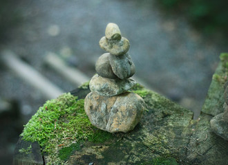 Balanced stones in the foresc. Pbbles tower