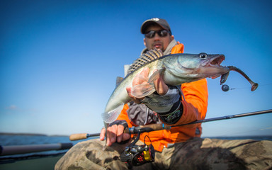 Fishing. Happy angler with zander fishing trophy.