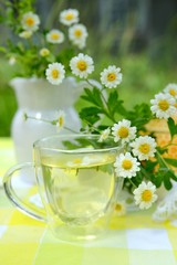 Camomile tea