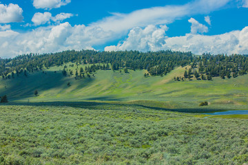 Fototapeta premium Beautiful landscape