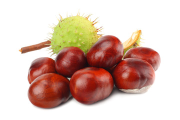 chestnuts isolated on white background. Healthy background.