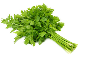 celery leaf isolated on white background. Celery isolated on white. Healthy food