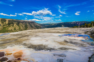 yellostone landscape