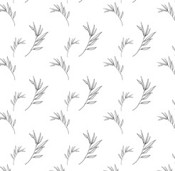 Floral pattern texture with sprig in black and white. Vector illustration with twigs. Perfect for printing on fabric or paper. Sketch floral botany collection in graphic